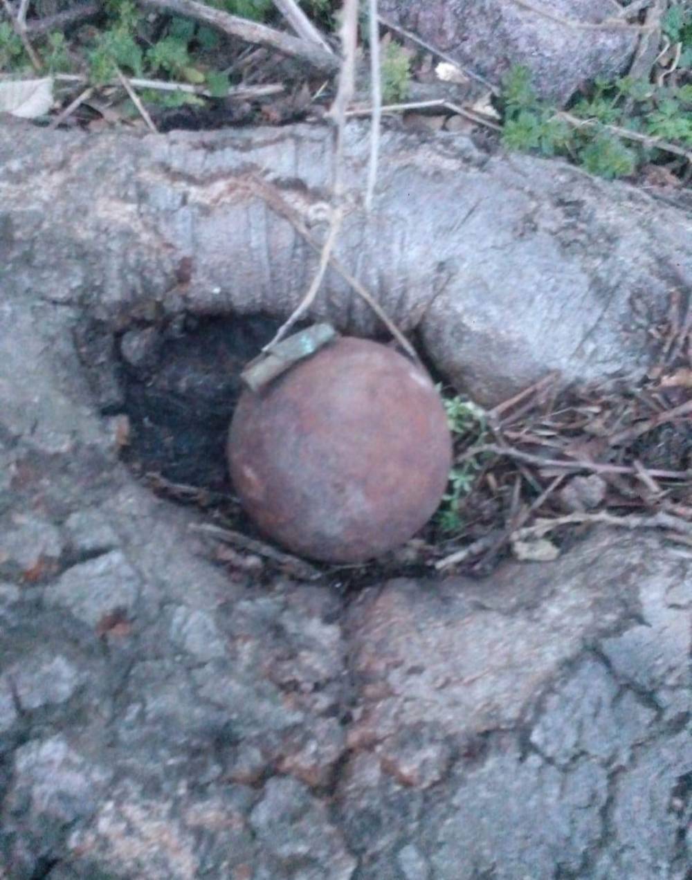 Ayvacık’ta Osmanlı döneminden kaldığı değerlendirilen 2 el bombası imha edildi