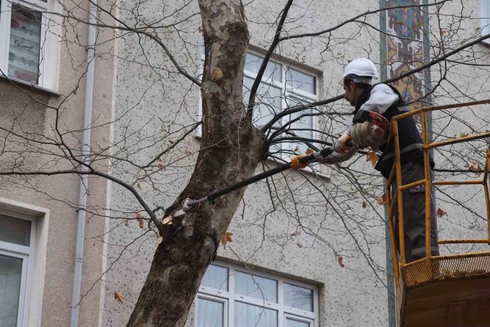 Kartal’da Bahara hazırlık için binlerce ağaç budandı