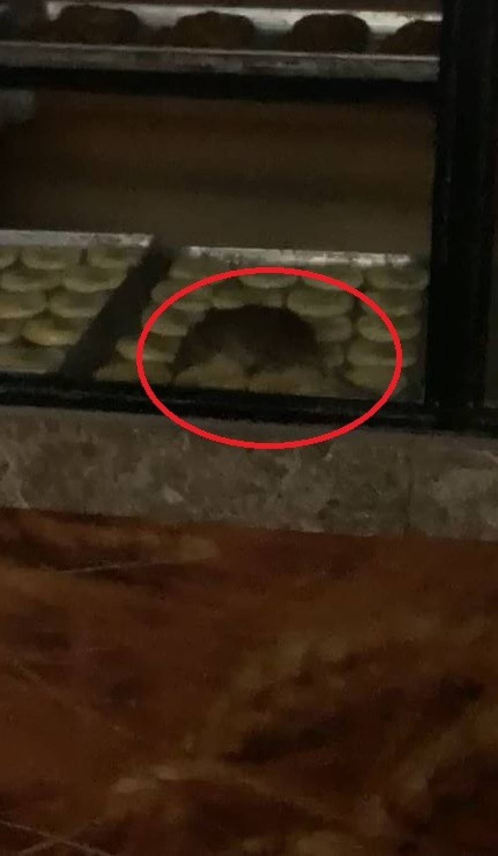 Simit fırınında gezinen fare kameraya yansıdı