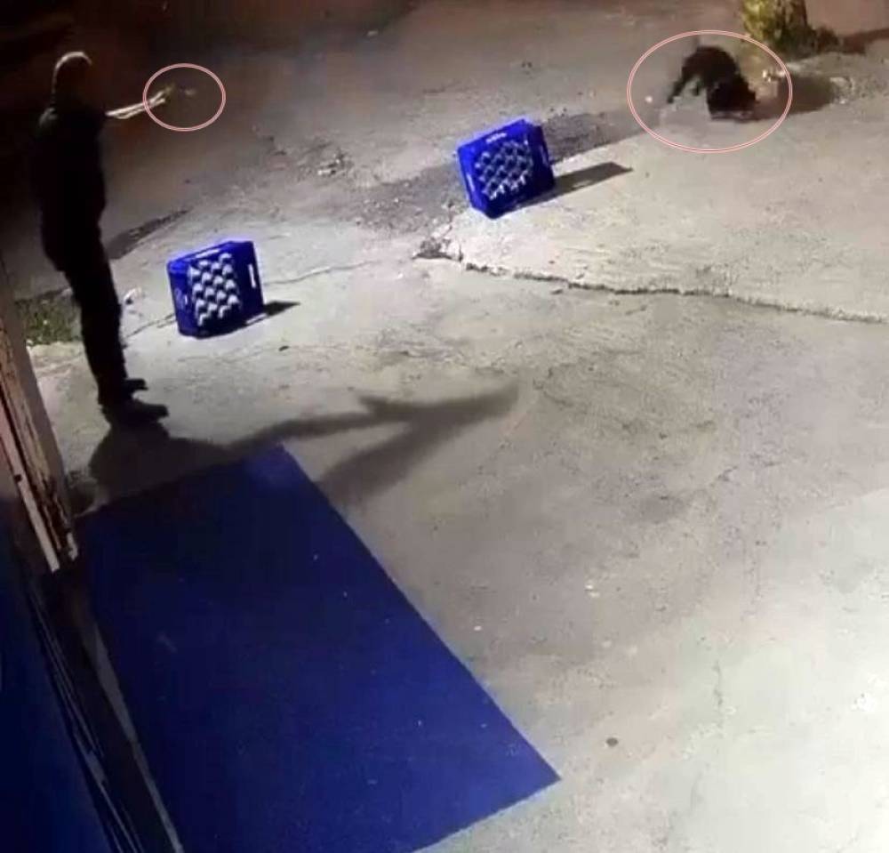 Karasu’da dehşete düşüren olayda iki tutuklama