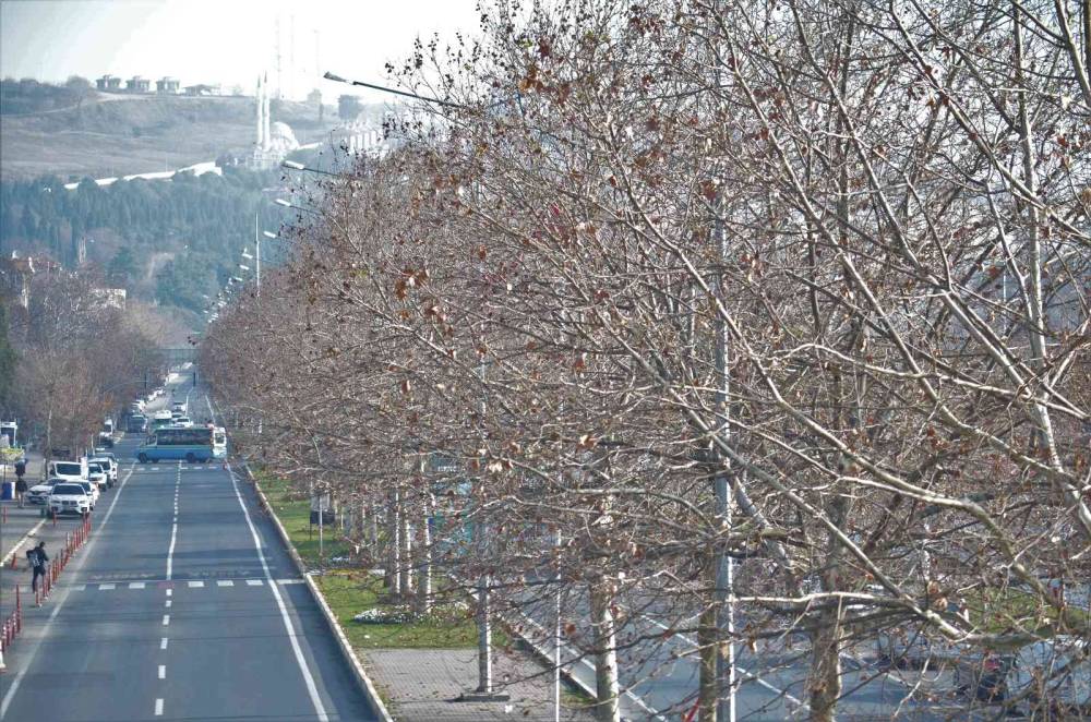 Tekirdağ’a kıştan önce bahar havası geldi