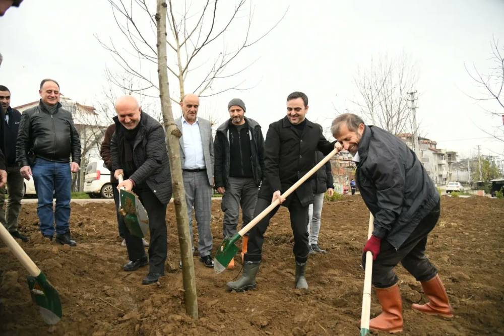 Başiskele’de fidanlar toprakla buluştu
