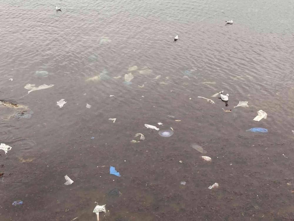 Kadıköy’ü lodos vurdu, Caddebostan sahilini plastik atıklar kapladı