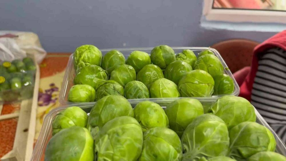 Bursa’nın İznik ilçesinde sezonda 12 bin ton Brüksel lahanası ihraç ediliyor