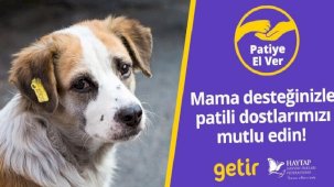 Getir’den hayvan barınaklarına 1,5 milyon kap mama