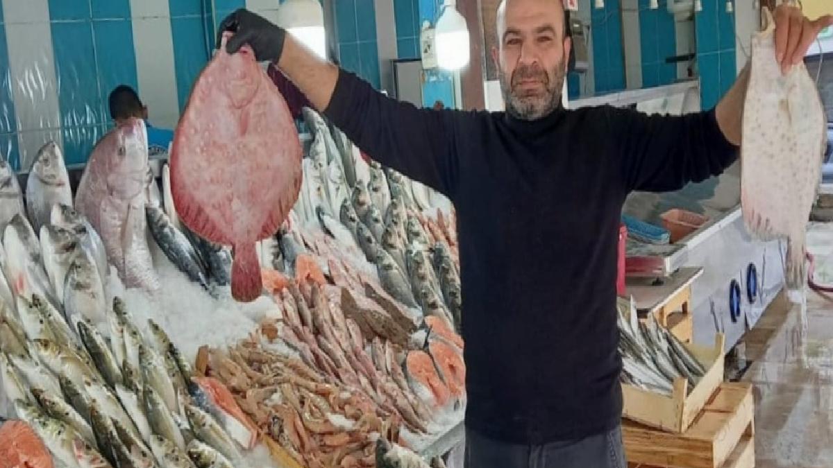 Ege’de yaz gitmeyince balıklar da gelmedi: Fiyatlar cep yakıyor