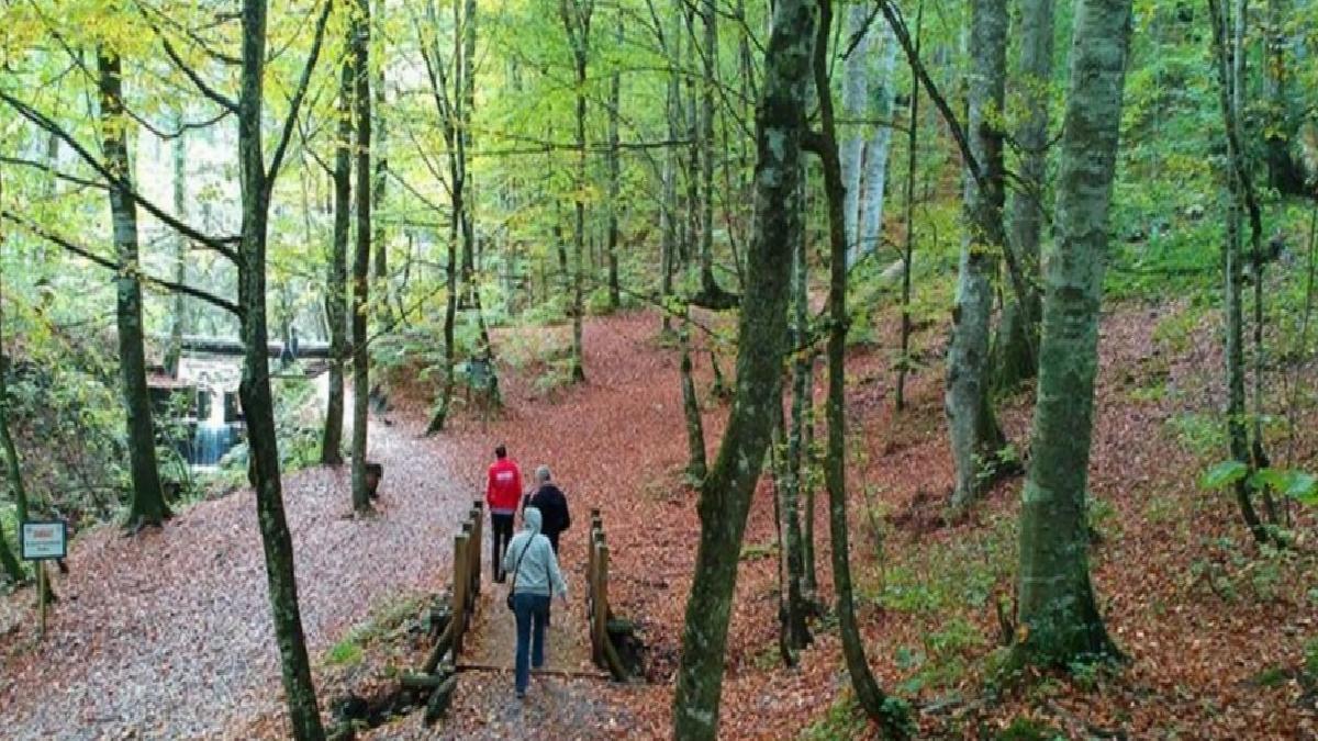 Milli parklar ile tabiat parklarına 8 ayda 46 milyon ziyaretçi