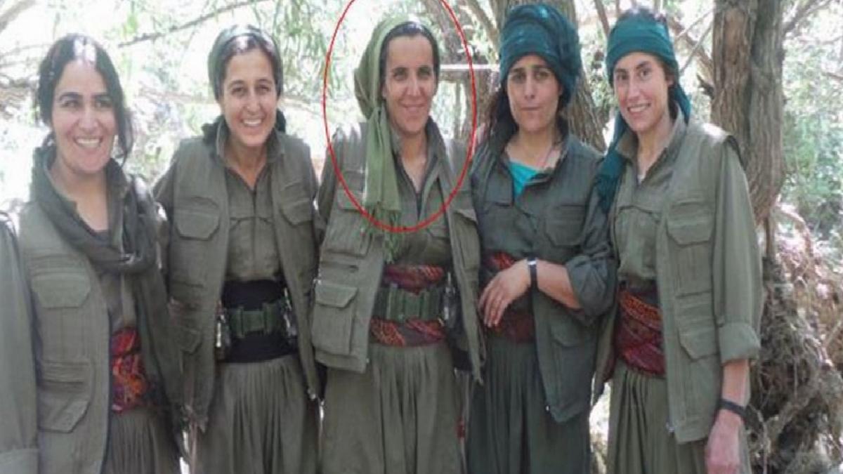 MİT'ten PKK'ya bir darbe daha!