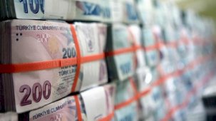 2024 Yılı Cumhurbaşkanlığı Yıllık Programı Resmi Gazete'de