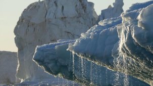 Bilim insanları uyardı: Batı Antarktika buz levhası çöküyor
