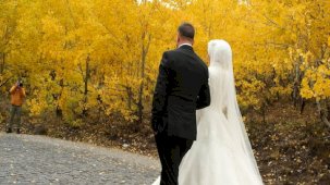 Bitlis'te gelin ve damadın fotoğraf çekimine ayı engelli