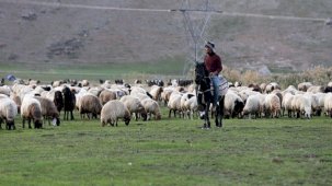 Göçerler Erzurum'dan Mardin'e dönerken Muş'a uğradı
