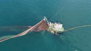 Karadeniz'deki deniz suyu sıcaklığına dikkat çekti: Maalesef ortalama 2 derece arttı