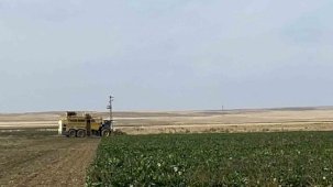 Konya Kulu’da pancar hasadı başladı! Hedef: 77 bin ton