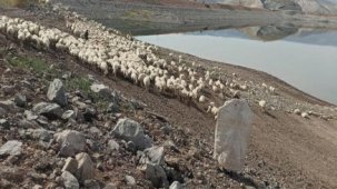 Malatya'da yayla sezonu bitti! Dönüş yolculuğu başladı