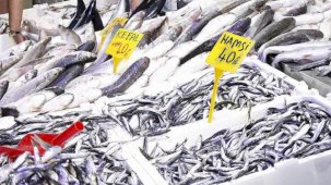Samsun'da hamsinin kilosu 40 liraya kadar indi