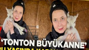 Sinemanın efsane güzeli artık çiftliğinde hayvanlarıyla yaşıyor: 'Tonton büyükanne' bu aşında kapak pozu bile verdi