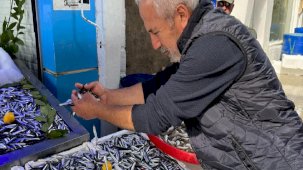 Sinop'ta hamsi bereketi başladı! Kilosu 50 liradan satılıyor