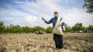 Tarımsal girdi fiyatları ağustosta yıllık yüzde 41,33 arttı