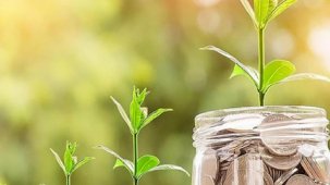 Temiz enerji yatırımları destekleniyor! Türkiye'deki bankaların 'iklim karnesi'