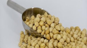 Trabzon'un fındık ihracatında AB ülkeleri lider