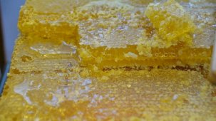 Türk balı yılın 9 ayında 52 ülkede talep gördü