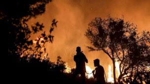 Türkiye'de 9 ayda 2 bin 197 orman yangınına müdahale edildi