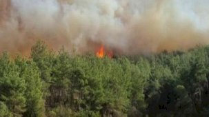 3 noktada orman yangını: Müdahale sürüyor