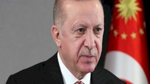 AP Alman üyesinden Cumhurbaşkanı Erdoğan'a: Türkiye'nin çıkarlarını savunuyor