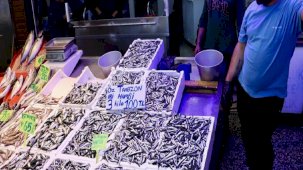 Balık bollaştı! Trabzon'da hamsinin kilosu 35 liraya kadar geriledi