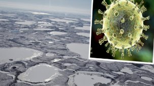 Bilim insanları uyardı: Ölümcül Faktör X virüsünün donmuş topraklardan ortaya çıkması çok yakın