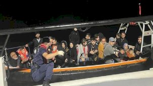 Bodrum'da kaçak göçmen operasyonu
