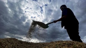 Çiftçiye mazot ve gübre desteği miktarları açıklandı