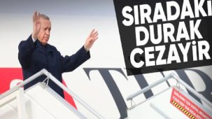 Cumhurbaşkanı Erdoğan, Cezayir'e gitti