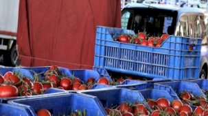 Domates miktarı azaldı