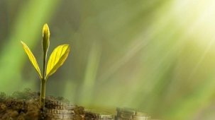 Dünya Bankası Türkiye için 155 milyon dolarlık yeşil dönüşüm kredisine onay verdi