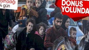 Filistinliler eve dönüyor: Gazze'de ateşkes başladı