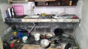 Giresun'daki yayla evi ayılar tarafından talan edildi