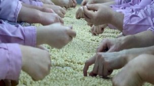 İç fındık ihracatında düşüş