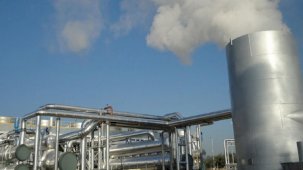 İklim değişikliği araştırması: Dünya'nın 0,1 derece ısınması milyonlarca ölüme neden olabilir