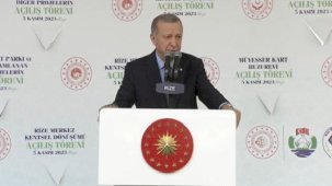 ilk yorum: Al birini vur ötekine