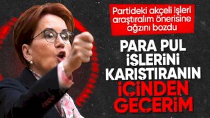 İyi Partili Arzu Önşen'in Meral Akşener'i şikayet dilekçesi ortaya çıktı