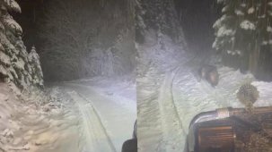 Karabük'te yüksek kesimlere kar yağdı