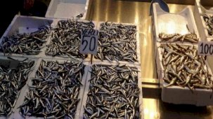 Karadeniz'deki fırtına hamsi fiyatlarını artırdı