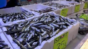 “Küresel ısınma balık çeşidi ve boyutunu etkiledi”