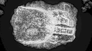 Orta Çağ'da gömülü iskeletin üzerinde gizemli protez el bulundu