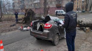 Rusya'da hareket halindeki aracın üzerine ağaç devrildi: 2 ölü