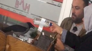 Samsun'da masaya konan karga su istedi: İlginç diyalog kamerada