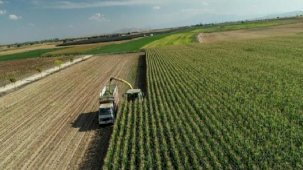 Tarımsal destek ödemeleri bugün hesaba yatırılıyor