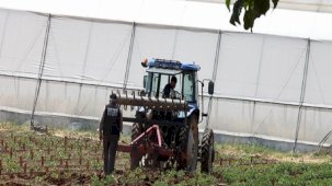 Tarımsal destekleme ödemesi bugün çiftçilerin hesaplarına aktarılıyor